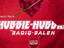 Hubbi Hubbi/kai dai ne a lissafina ) Audio Music lyrics By Sadiq Saleh 2021 - YouTube