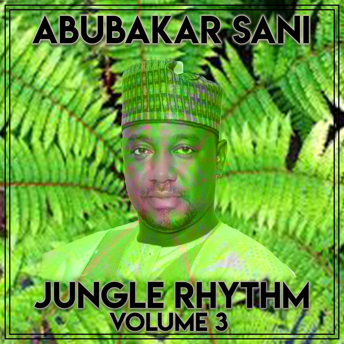 Jungle Rhythm, Vol. 2 by Abubakar Sani on Apple Music