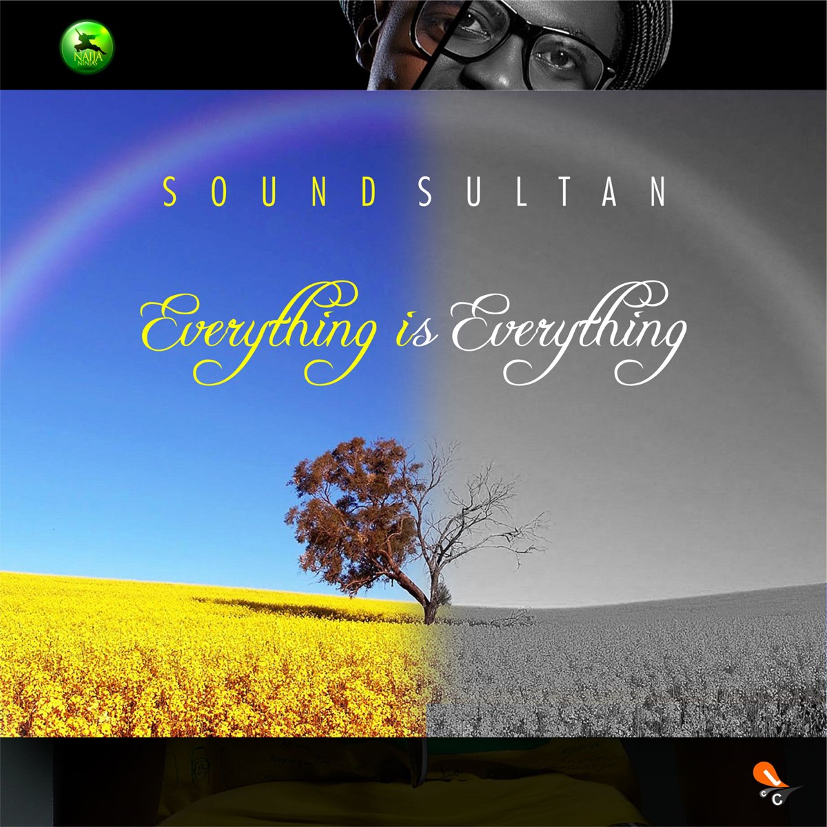 Everything Is Everything - Single by Sound Sultan on Apple Music