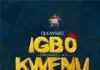 Igbo Kwenu Nonstop Dj Mix (Igbo Old skul Highlife Dj Mixtape 2019) - June Edition by DJ BLAZE