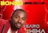 Saro Wiwa - Saro Apalila Egwu
