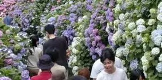 Luke Ezeji - Mmehe Nke Uwa Agwuwo