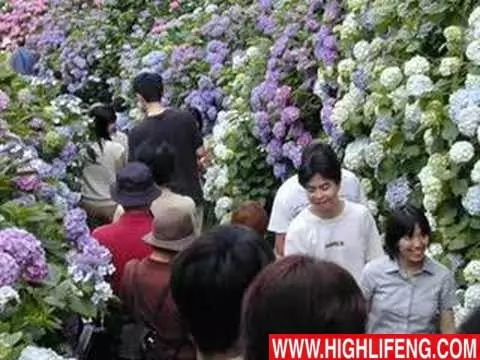 Luke Ezeji - Mmehe Nke Uwa Agwuwo