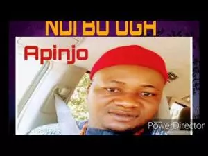 Apinjo Okenwa Oduma - Ndi Bu Oga | Latest Igbo Highlife Song 2020
