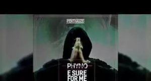 Phyno - E Sure For Me (Olisa Doo)