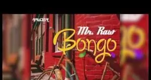 Mr Raw - Bongo