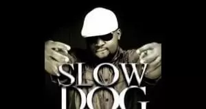 SlowDog - Laluna Ft. Desperate Chicks, Dekumzy