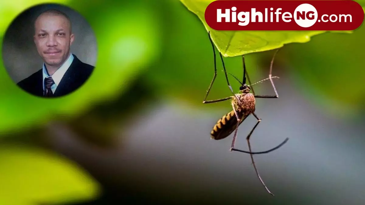 Stanley Okorie - Mosquito