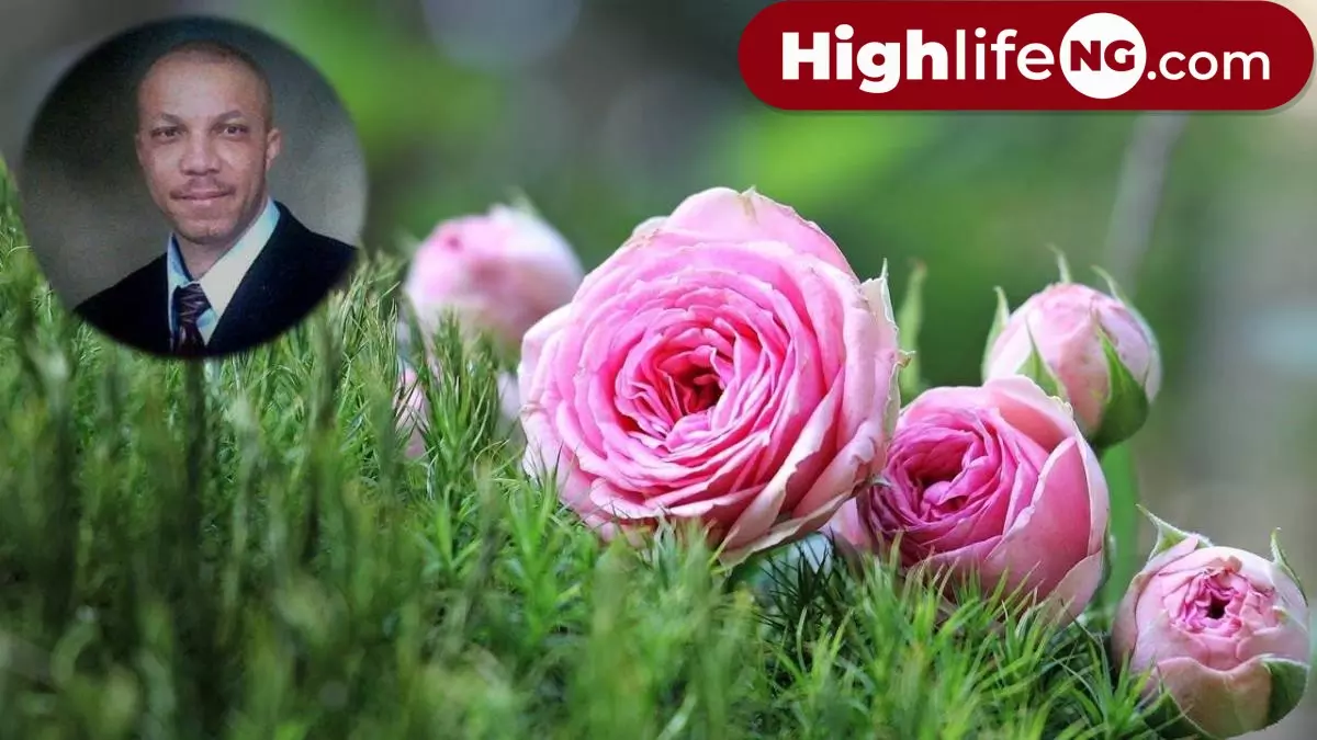 Stanley Okorie - It is Love