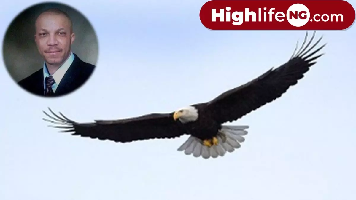 Stanley Okorie - Ugo Ebe  Naja