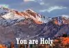 Bro. Ugo Okiyi ft. GOGC Choir - You Are Holy