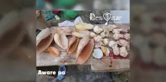 Rex Omar - Aware Pa