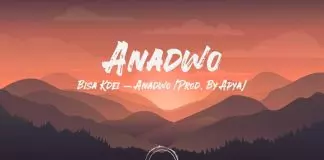 Bisa Kdei - Anadwo