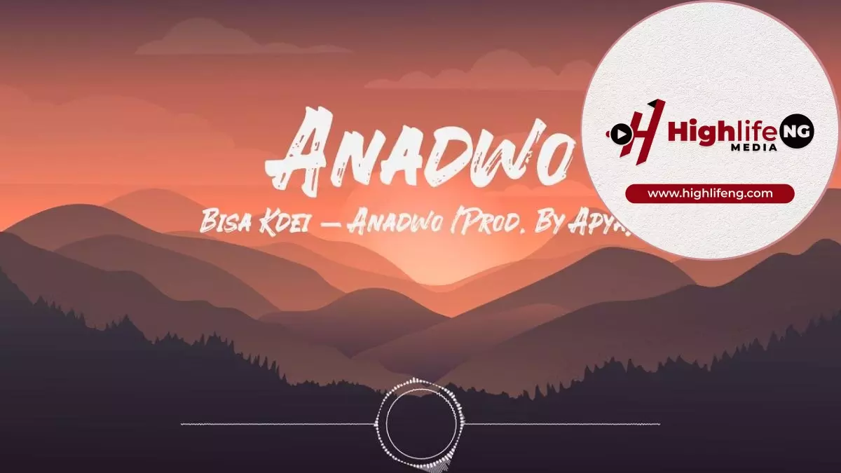 Bisa Kdei - Anadwo