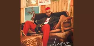 Odumodublvck ft. Ojogwu tochukwu And Agunna - Potor Potor