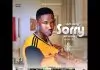 Bro Destiny - I Am Very Sorry