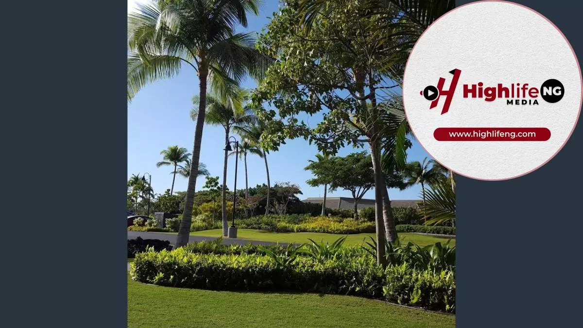 Stanley Okorie - Full Package