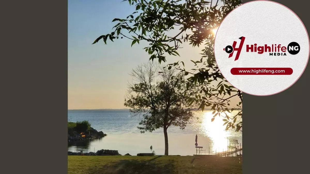 Stanley Okorie - Bastard Money