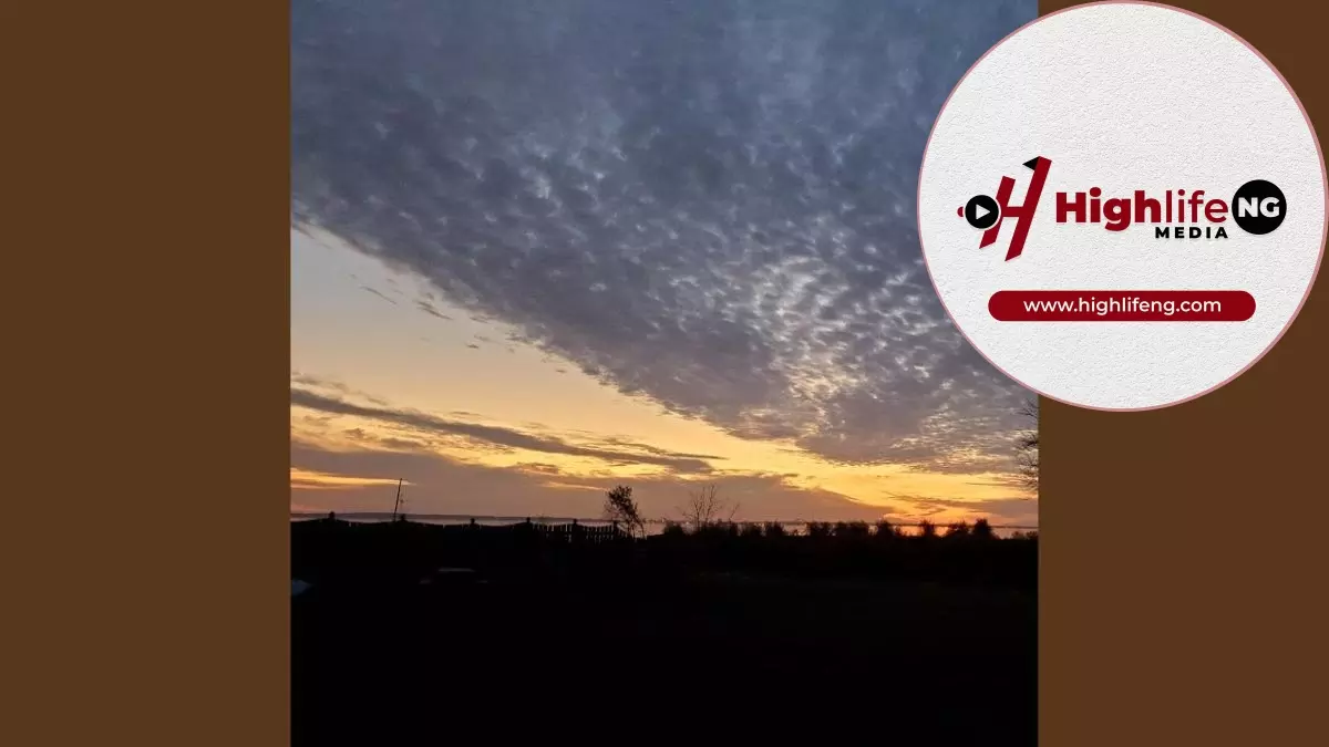 Stanley Okorie - Customer Service