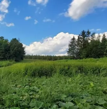 Stanley Okorie - Odogwu (Mma Dimkpa Bu Chaka Chaka)