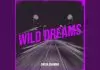 Emeka Odiamma - Wild Dreams