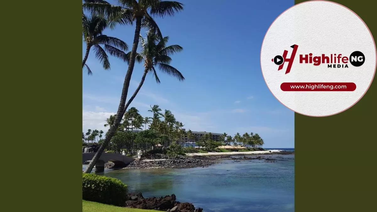 Stanley Okorie - Just Flute