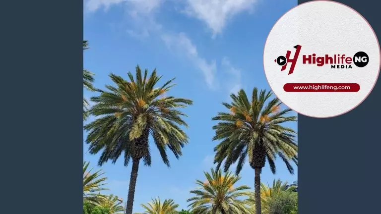 Stanley Okorie – You Go Bow!