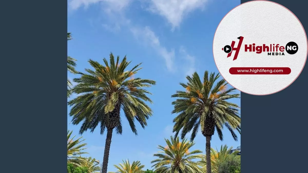 Stanley Okorie - Mmili Mma