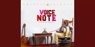 Kwabena Kwabena - Voice Note