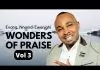 Evang. Nnamdi Ewenighi - Wonders Of Praise (Vol. 3)