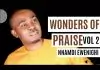 Evang. Nnamdi Ewenighi - Wonders Of Praise (Vol. 2)