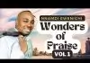 Evang. Nnamdi Ewenighi - Wonders Of Praise (Vol. 1)