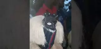 Mbem Masquerade - Oma Mbem Neni