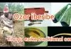 Ozor Iberibe - Omenala