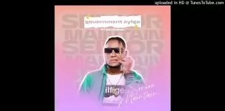 Senior Maintain ft. Skyswag - Government Ayigo