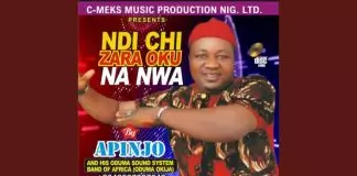 Apinjo Oduma Okija - Taking Back Naija
