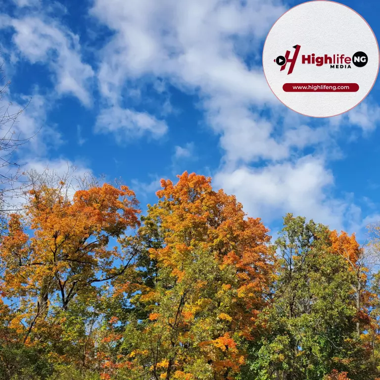 Stanley Okorie – Becky Single Bone