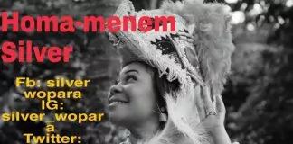 Silver Wopara - Homa Menem