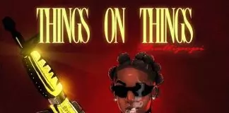 Shallipopi - Things On Things