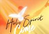 Evans Ogboi - Holy Spirit Come