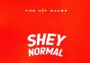The Hit Maker - Shey Normal (Cruise beat)
