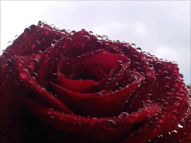 Awurama Badu - Odo Tie (Me Nni Obiara)