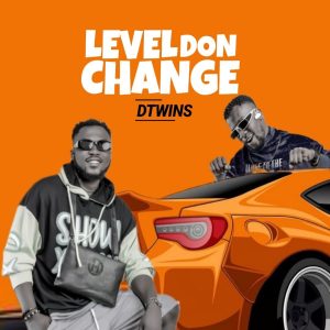 Dtwins - Level Don Change