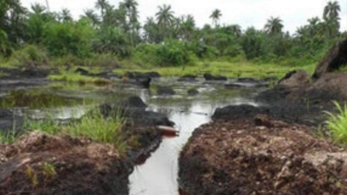 karinto - Late Adivior000