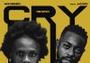 Majeeed ft. Lojay - Cry (Shayo)