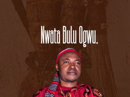 Chief Michael Udegbi - Nwata Bulu Ogwu