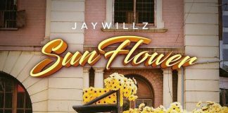 Jaywillz - Off The Light