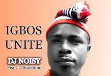 Dj Noisy ft. D Sunshine – Igbos Unite