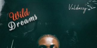 Valdozzy - Wild Dreams
