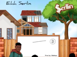 Serllin - Update